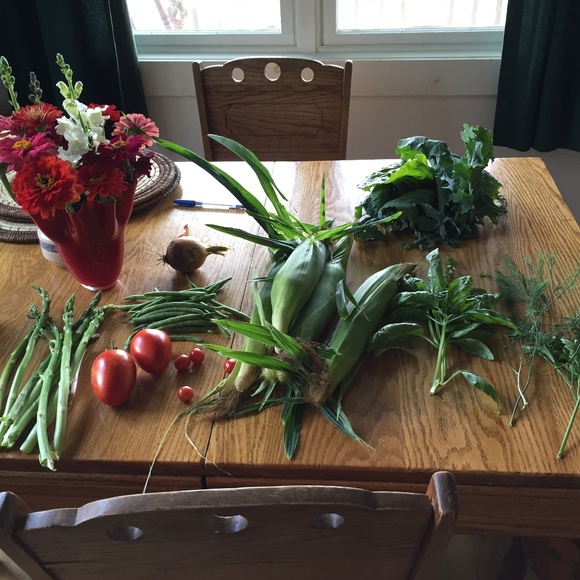 Meet your Posher, Katherine - Picture 1 of 1